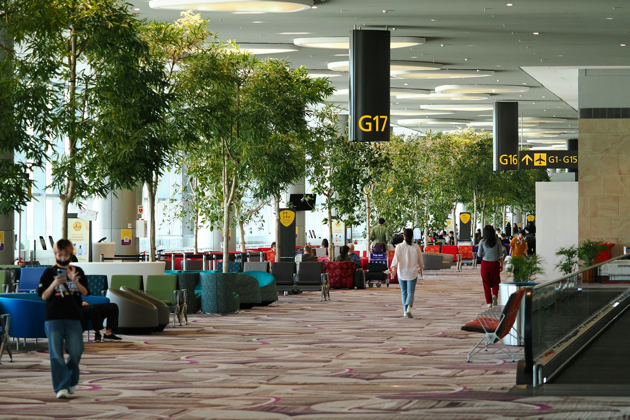 Travel and destination context with environmental considerations.